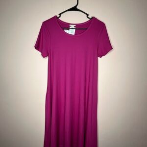 NWT LuLaRoe Jessie Dress